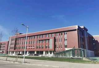 江苏室外绿化工程养护