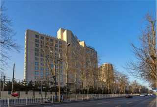 海南黄龙病柑橘农药